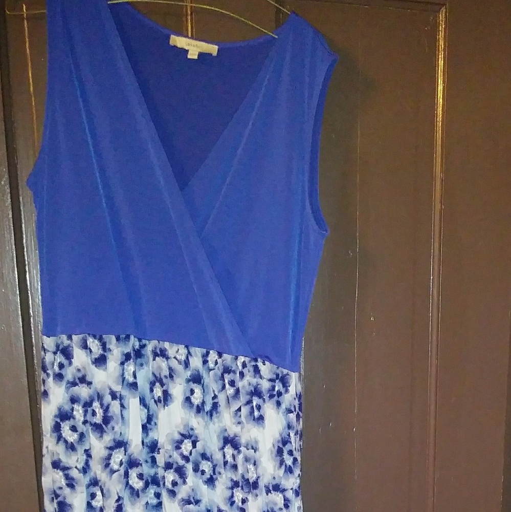 Lark and roe sz large dress never worn